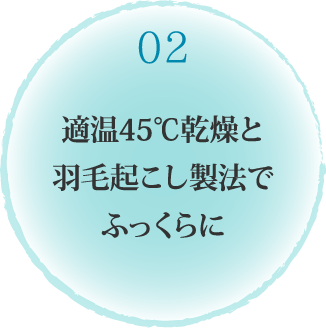 適温45℃乾燥と羽毛起こし製法でふっくらに